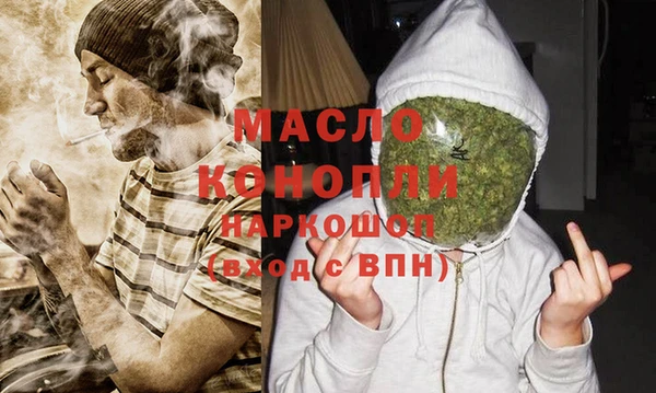 молекула духа Лабытнанги