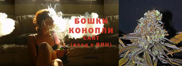 молекула духа Лабытнанги