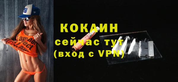 молекула духа Лабытнанги