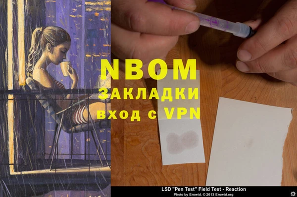 молекула духа Лабытнанги