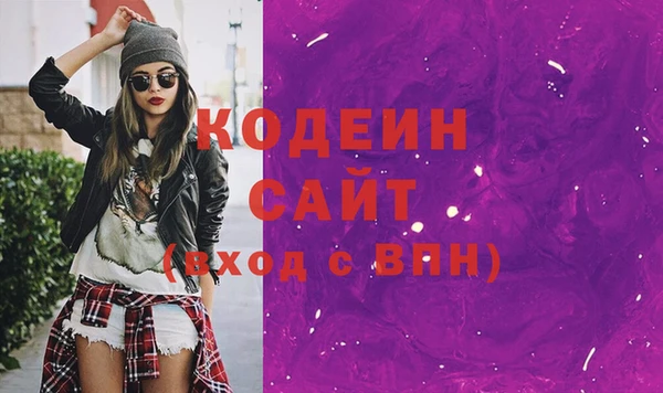 молекула духа Лабытнанги